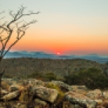 Blyde River Canyon Sunset with dead Tree Silhouette